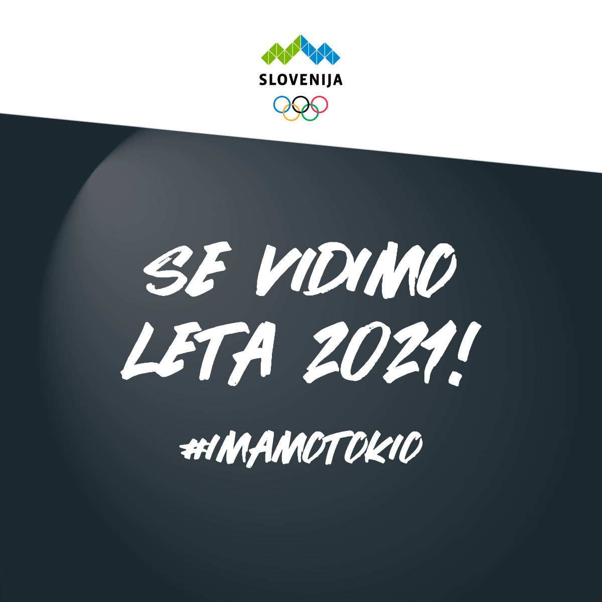 Olimpijskih iger v Tokiu letos ne bo