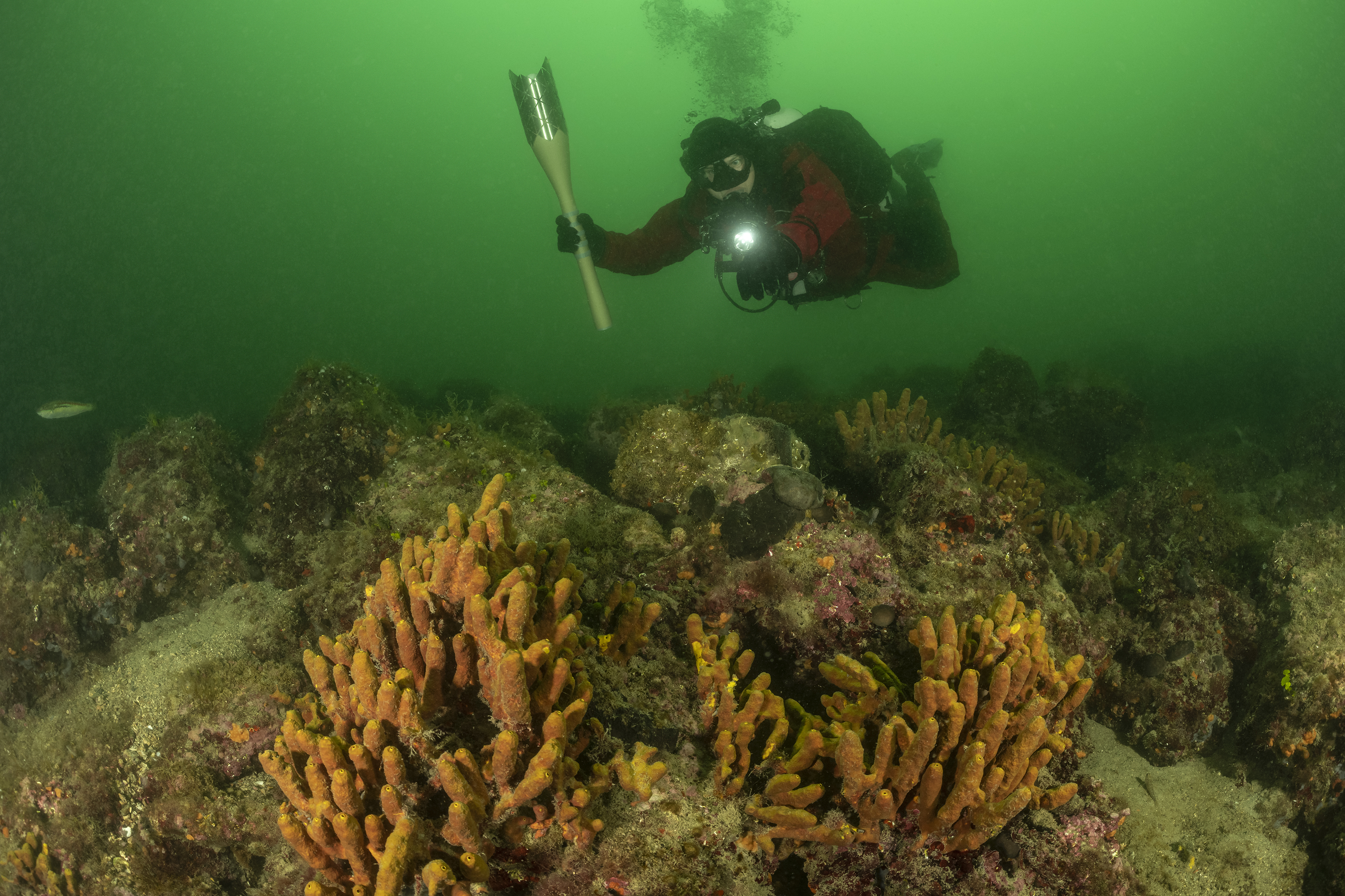 Z baklo do najnižje točke Slovenije