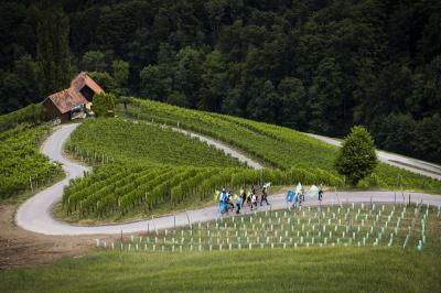 Slovenska bakla - 10. teden popotovanja