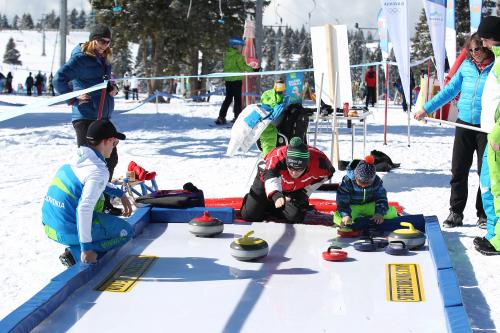 Zimski olimpijski dan