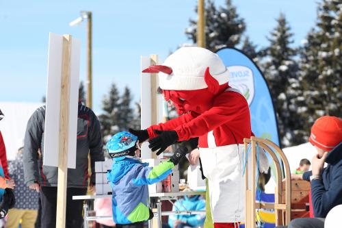 Zimski olimpijski dan