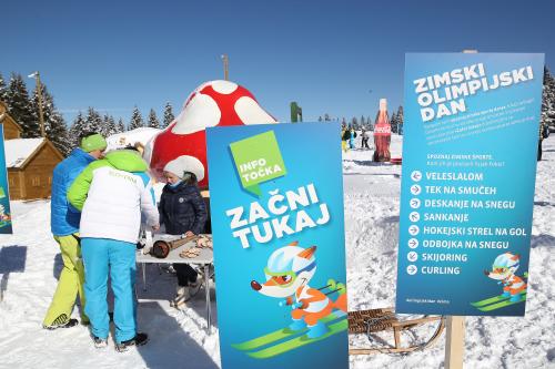 Zimski olimpijski dan