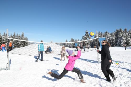 Zimski olimpijski dan