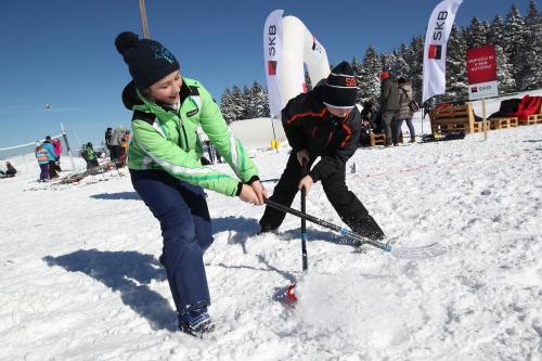 Zimski olimpijski dan