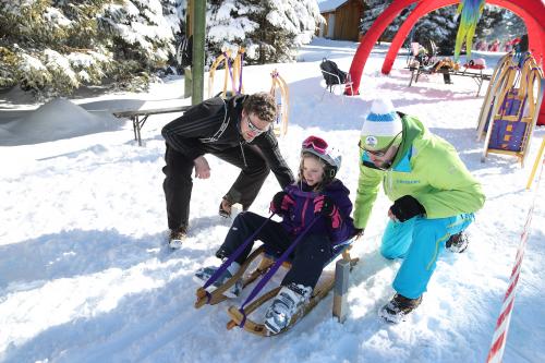 Zimski olimpijski dan