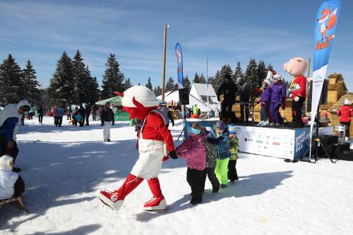 Zimski olimpijski dan